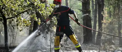 Verheerende Waldbrände in Europa: Frankreich, Spanien und Großbritannien betroffen