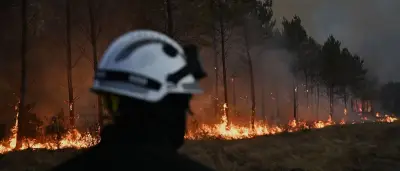 Waldbrand bei Bordeaux: Stabile Nacht, aber Gefahr durch Hitze und Wind bleibt