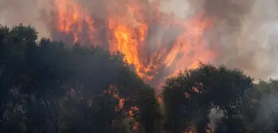 Waldbrand bei Madrid: 3500 Menschen evakuiert
