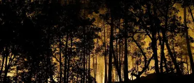 Waldbrand bei Paris: 800 Hektar zerstört, Verdacht auf Brandstiftung