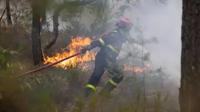 Waldbrand bei Paris: Polizei verhaftet zwei mutmaßliche Brandstifter
