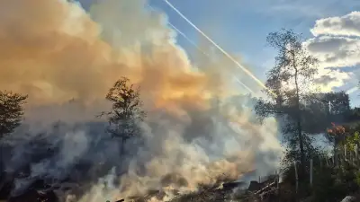 Waldbrand im Kreis St. Wendel: 300 Einsatzkräfte bekämpfen Flammen