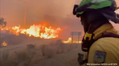Waldbrand in Südspanien: Zwölf Tote in Almería