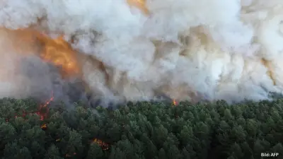 Waldbrand nahe Paris: 300 Hektar zerstört, Hitzewelle in Frankreich