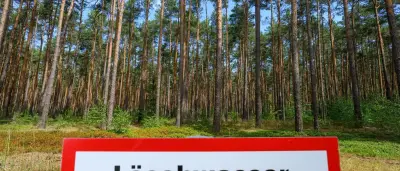 Waldbrandgefahr in Brandenburg gestiegen: Warnstufe 4 in vier Landkreisen