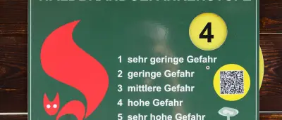 Waldbrandgefahr in Brandenburg sinkt ab Montag deutlich