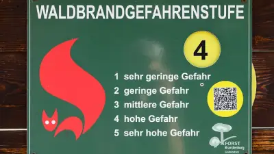 Waldbrandgefahr in Brandenburg sinkt ab Montag drastisch