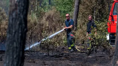 Waldbrandgefahr in Deutschland steigt auf höchste Stufen