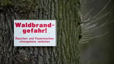 Waldbrandgefahr in Hessen steigt auf Stufe 4 und 5