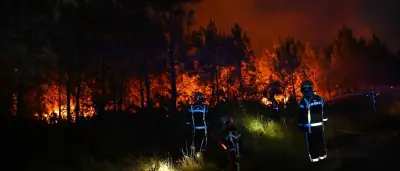 Waldbrände bei Bordeaux und Spanien: Feuerwehr kämpft gegen neue Flammen