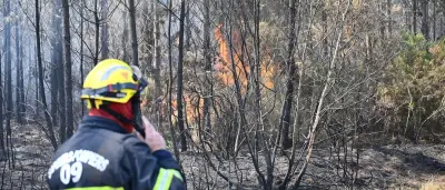 Waldbrände in Frankreich: Feuerwehr kämpft Baum um Baum gegen neue Ausbrüche