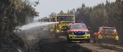 Waldbrände in Frankreich, Spanien und Italien: Lage weiter kritisch
