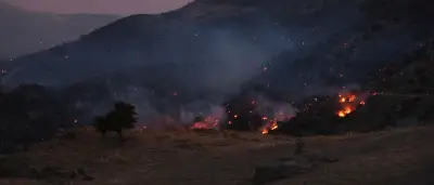 Waldbrände in Südeuropa: Griechenland und Türkei weiter im Kampf gegen Flammen