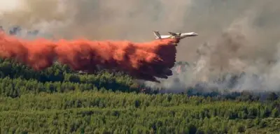 Waldbrände in Südfrankreich: 2000 Feuerwehrleute im Einsatz