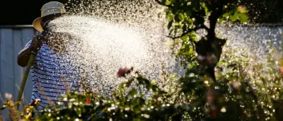 Wasserknappheit in München: Rasensprengen und Poolbefüllung verboten