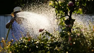Wassermangel in München: Verbote mit Bußgeld bis 50.000 Euro