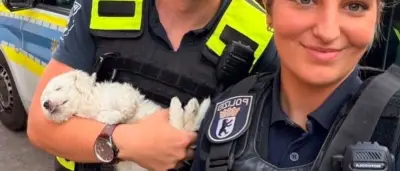 Welpe am Kottbusser Tor wie Puppe durch Luft geschleudert – Polizei ermittelt