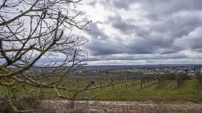 Wetter in Hessen: Sonne und Gewitter am Wochenende