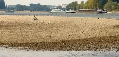 Wirtschaftliche Folgen der Trockenheit: Niedriger Rhein-Pegel lässt Frachtkosten steigen