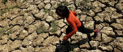 WMO warnt: Extrem starker El Niño erwartet – Preise für Kakao, Kaffee und Zucker steigen