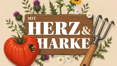 Zitronen aus eigenem Garten: Lubera-Gründer Markus Kobelt gibt Pflegetipps