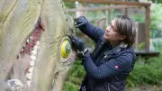 117 Jahre alte Dino-Skulpturen: Restauratorin untersucht Modelle bei Hagenbeck