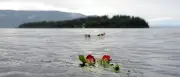 15 Jahre nach Utøya: Überlebende kämpfen gegen das Vergessen