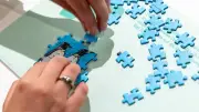 16.000 Teile: XXL-Puzzle im Klimahaus Bremerhaven entsteht