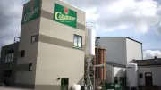 200 Jahre alte Brauerei Colbitzer Heide in die Insolvenz gerissen