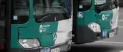 23 Elektrobusse für Potsdam: Lieferung droht zu platzen