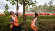 3.000 Bäume gefällt: Bahn sperrt Strecke in Unterfranken für zwei Monate