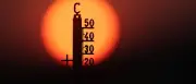 40-Grad-Marke in mehreren Bundesländern geknackt: Neuer Hitzerekord im Juli