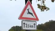 49-jähriger Rollerfahrer stirbt nach Wildunfall mit Reh bei Perkam