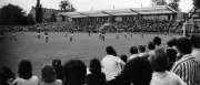 50 Jahre Karl-Liebknecht-Stadion: Ein Ort der Leidenschaft in Potsdam