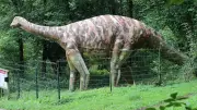 8-Tonnen-Dino-Skulptur in Niedersachsen zu verschenken
