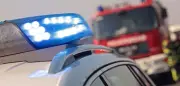 A3: Feuerwehr rettet 20 lebende Fische nach Unfall bei Frankfurt
