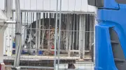 Acht Tiger bei Leipzig beschlagnahmt: Raubtier-Razzia bei Dompteurin