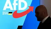 AfD in Baden-Württemberg: Jedes fünfte Mitglied extremistisch