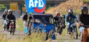 AfD-Regierung würde Einkommen senken und Arbeitslosigkeit erhöhen
