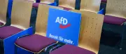 AfD-Regierungsprogramm für Sachsen-Anhalt: Was die Partei wirklich umsetzen kann
