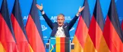 AfD zähmen wie einst Grüne und Linke? Ein klügerer Weg als Verbot oder Kapitulation