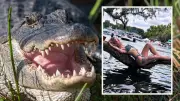 Alligator reißt Frau in Florida beide Arme ab – 31-Jährige stirbt