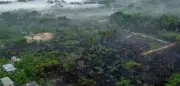 Amazonas-Brände 2025 auf tiefstem Stand seit 1983