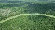 Amazonas: Waldbrandfläche 2025 auf Rekordtief gefallen