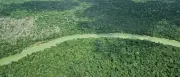 Amazonas: Waldbrände 2025 so niedrig wie seit 40 Jahren nicht