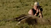Ameisenbär-Forscherin Lydia Möcklinghoff stirbt bei Flugzeugabsturz in Brasilien