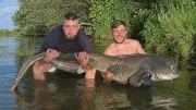 Angler fangen 2,30-Meter-Wels mit ganzem Huhn im Maul