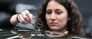 Arbeitszeitdebatte in der Autoindustrie: 40-Stunden-Woche gefährdet Jobs