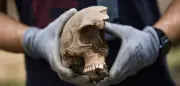 Archäologe über Gruselfund: Knochen in vielen Gärten