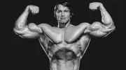 Arnold Schwarzeneggers Rekorde: Bankdrücken, Kreuzheben, Kniebeugen im Detail